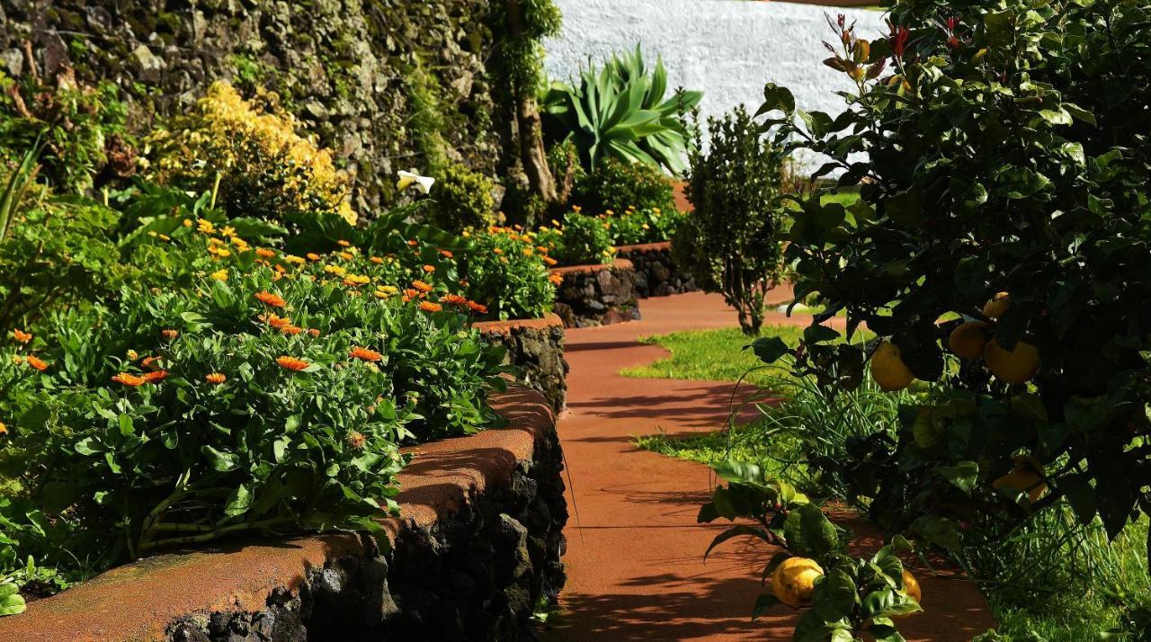 Quinta Dos Sentidos , Rustic Holiday Houses In São Vicente Ferreira Eksteriør billede