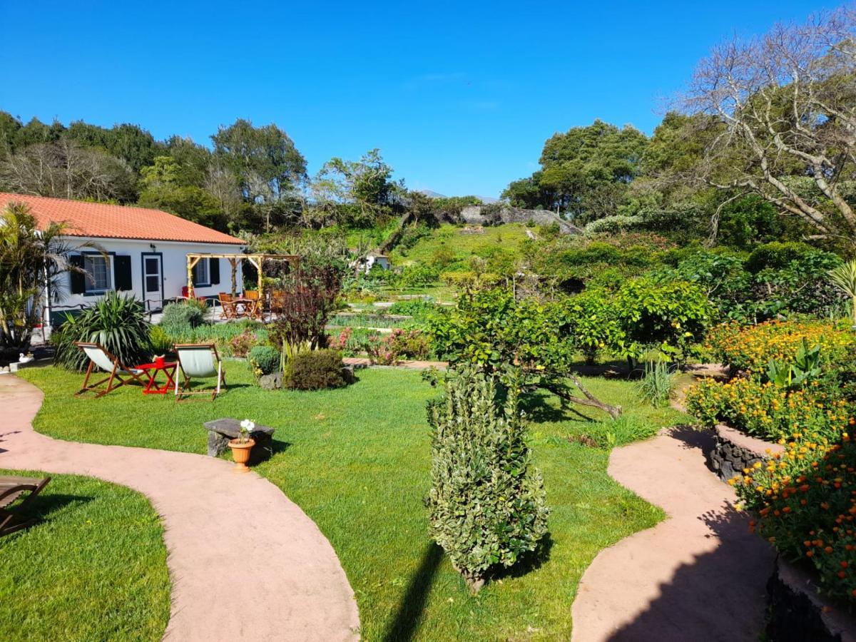 Quinta Dos Sentidos , Rustic Holiday Houses In São Vicente Ferreira Eksteriør billede