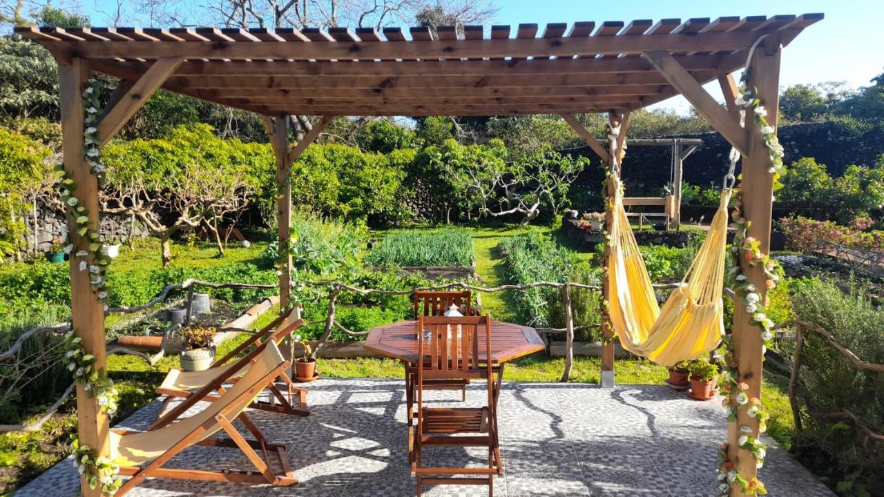 Quinta Dos Sentidos , Rustic Holiday Houses In São Vicente Ferreira Eksteriør billede
