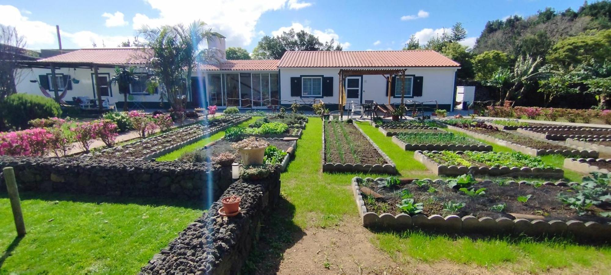 Quinta Dos Sentidos , Rustic Holiday Houses In São Vicente Ferreira Eksteriør billede