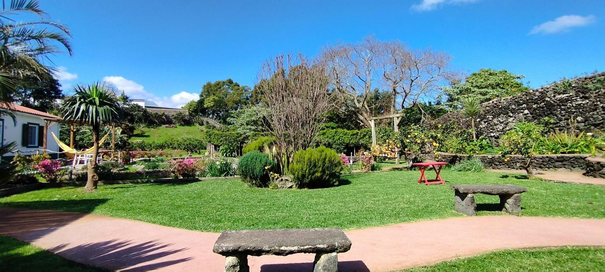 Quinta Dos Sentidos , Rustic Holiday Houses In São Vicente Ferreira Eksteriør billede