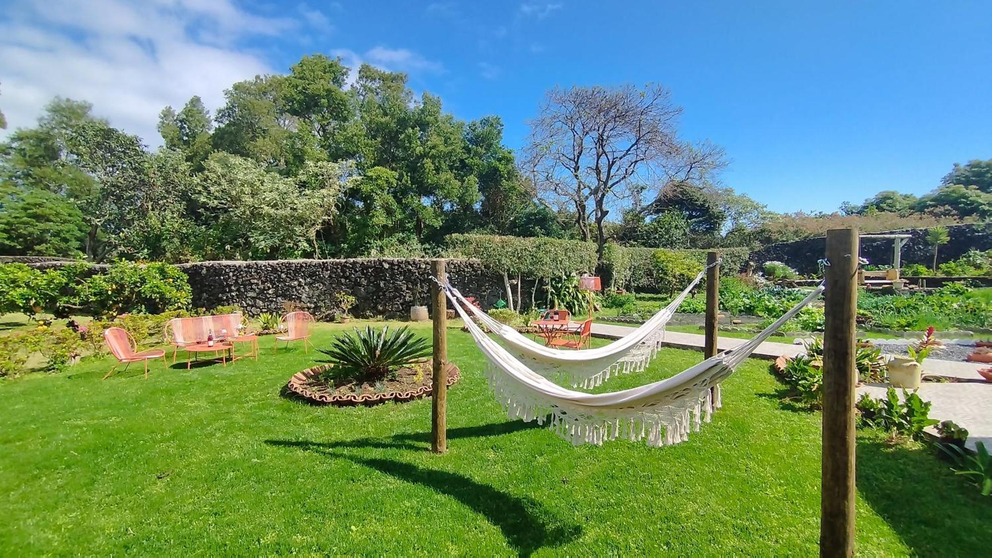 Quinta Dos Sentidos , Rustic Holiday Houses In São Vicente Ferreira Eksteriør billede