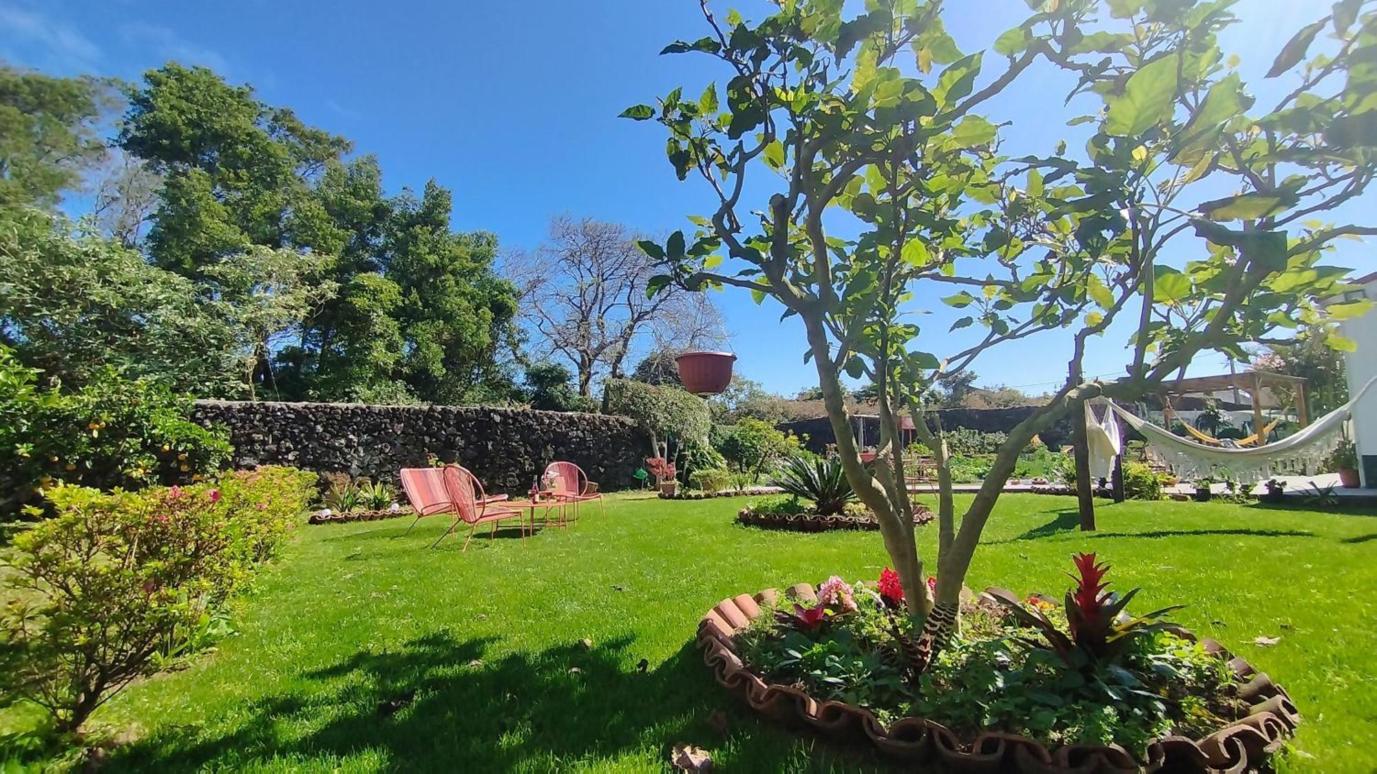 Quinta Dos Sentidos , Rustic Holiday Houses In São Vicente Ferreira Eksteriør billede