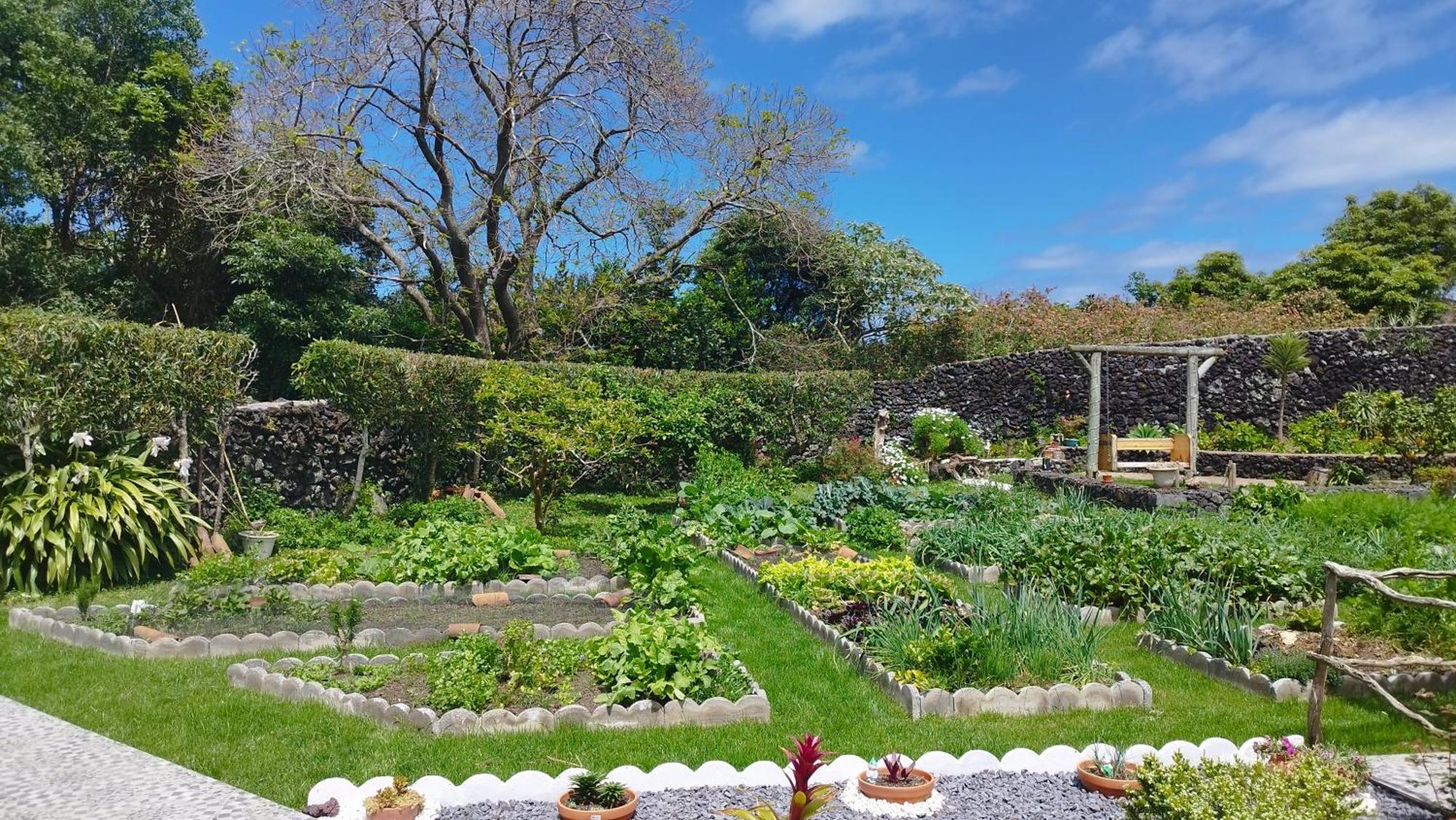 Quinta Dos Sentidos , Rustic Holiday Houses In São Vicente Ferreira Eksteriør billede