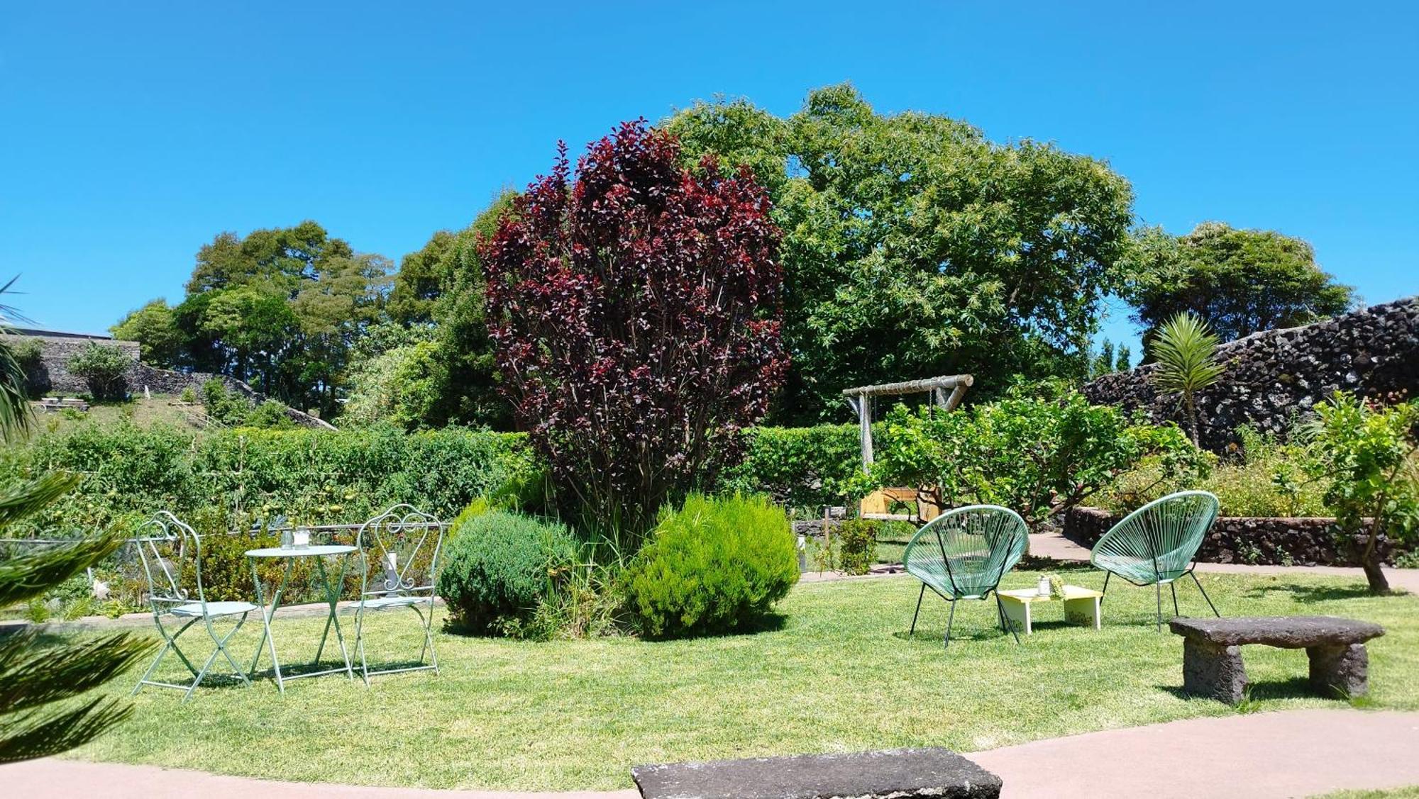 Quinta Dos Sentidos , Rustic Holiday Houses In São Vicente Ferreira Eksteriør billede