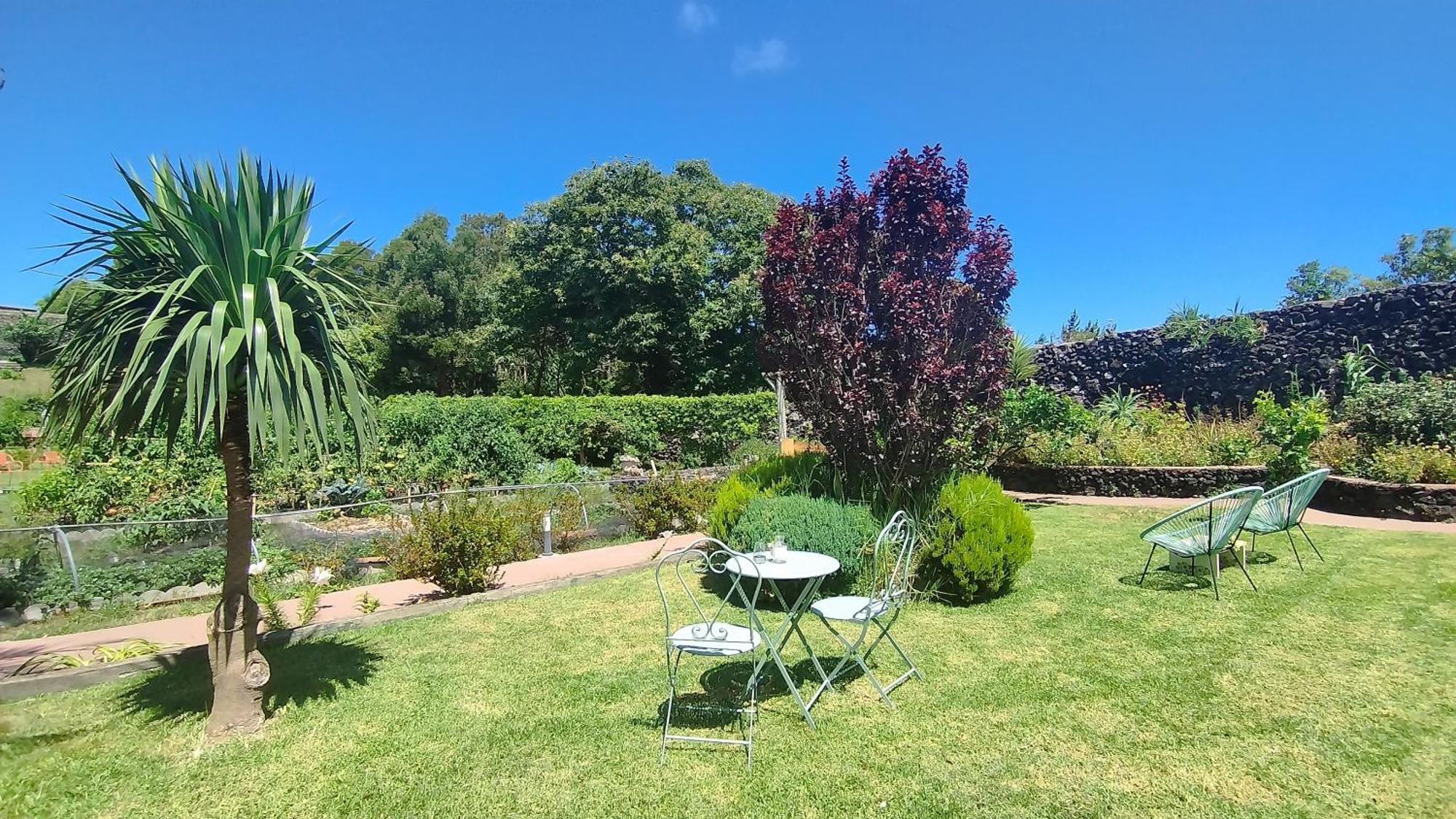 Quinta Dos Sentidos , Rustic Holiday Houses In São Vicente Ferreira Eksteriør billede