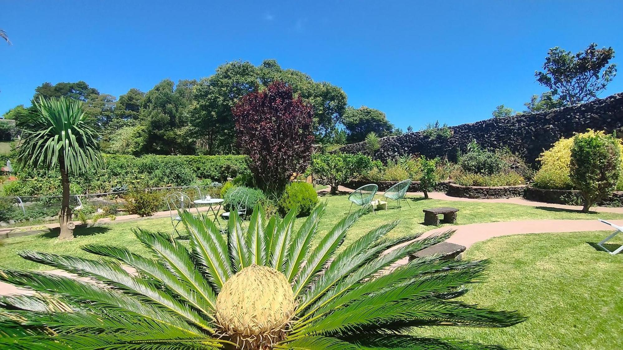 Quinta Dos Sentidos , Rustic Holiday Houses In São Vicente Ferreira Eksteriør billede