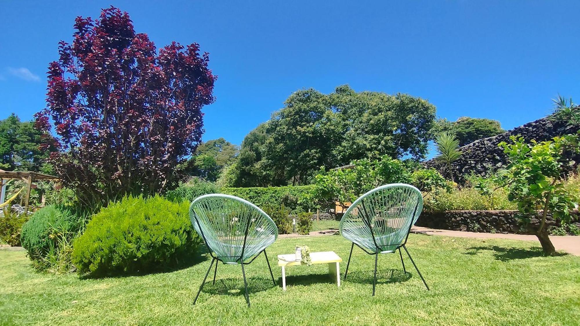 Quinta Dos Sentidos , Rustic Holiday Houses In São Vicente Ferreira Eksteriør billede